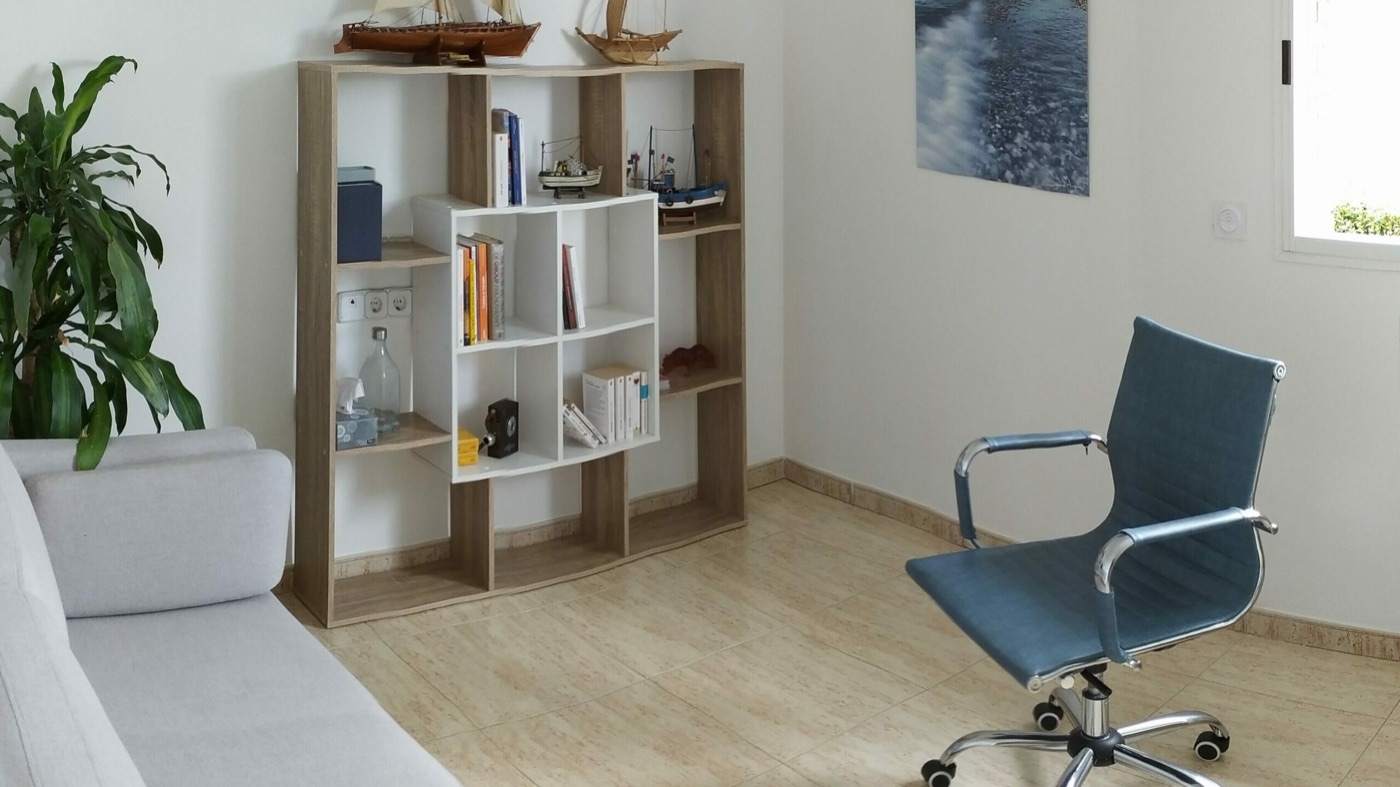 Cabinet de Vincent Hairie : canapé, bibliothèque et fauteuil bleu